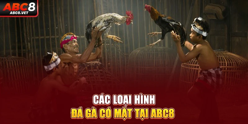 Các loại hình đá gà có mặt tại ABC8