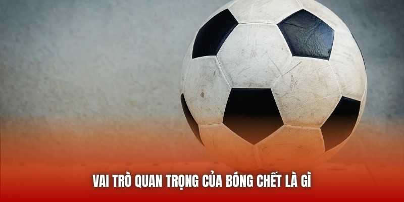 Vai trò quan trọng của bóng chết là gì