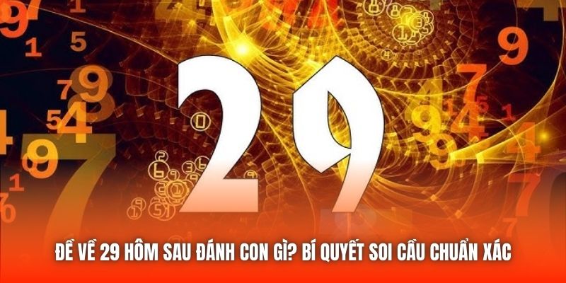 Đề Về 29 Hôm Sau Đánh Con Gì? Bí Quyết Soi Cầu Chuẩn Xác