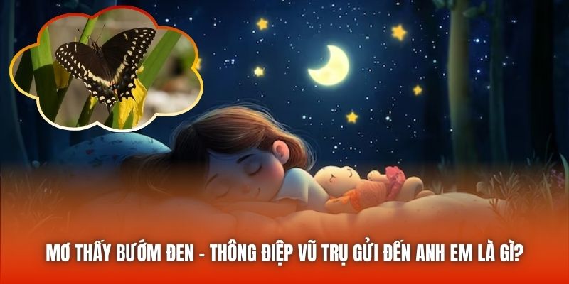 Mơ Thấy Bướm Đen - Thông Điệp Vũ Trụ Gửi Đến Anh Em Là Gì?