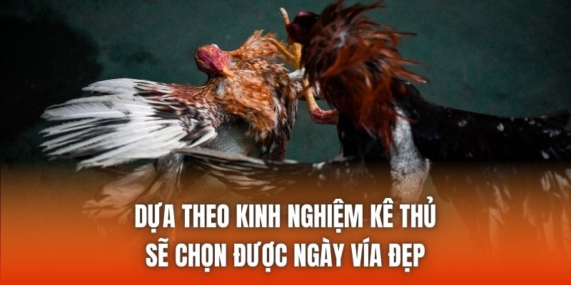 Dựa theo kinh nghiệm kê thủ sẽ chọn được ngày vía đẹp